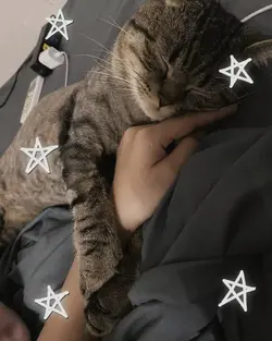 My star