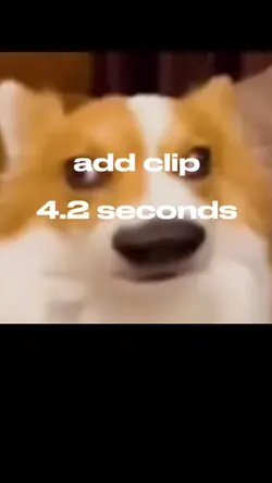 incorrect loud buzze