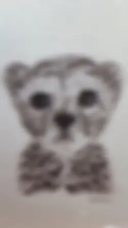 Cheetah 