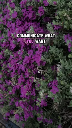Communication 