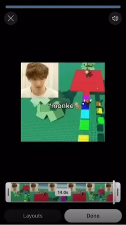 Monke 🐒 