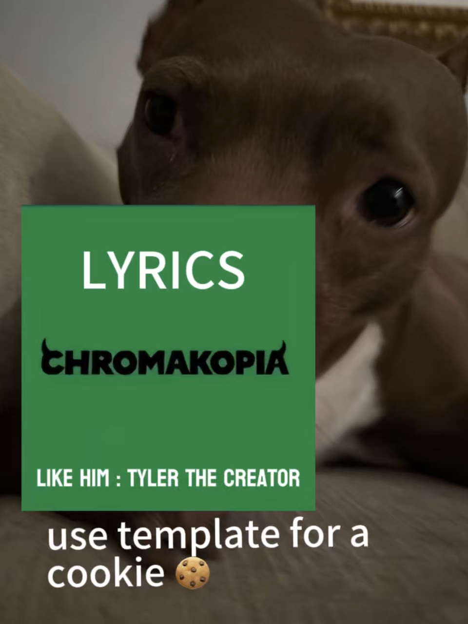 capcut template cover