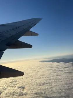 Californi