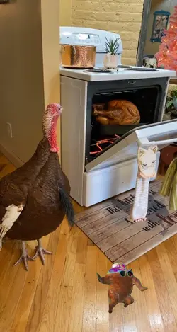 Turkey