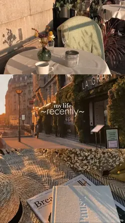 My life recently 