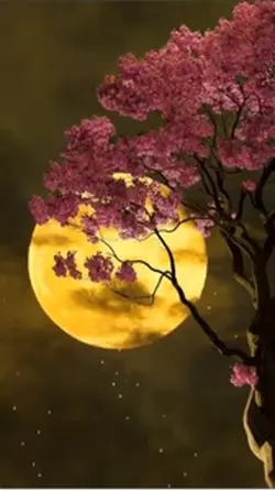 Buenas noches