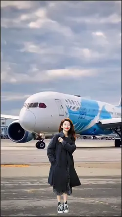 The plane takes off