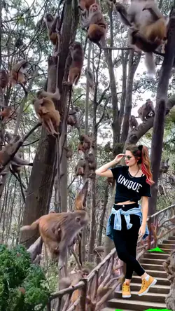 Sua foto na floresta