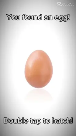 You found an egg