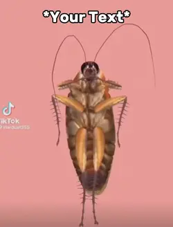 COCKROACH