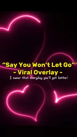 Say You Won’t Let Go