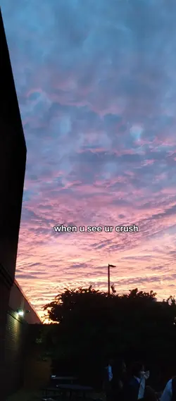 pov: u see ur crush
