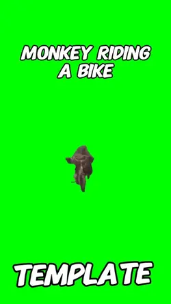 Monkey Riding a Bike