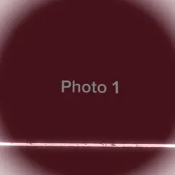 5 Photos