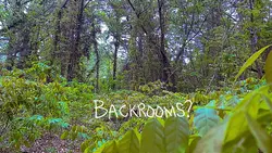 Feels like Backrooms