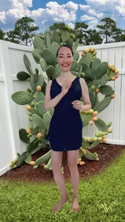 Nopal Cactus Plant 