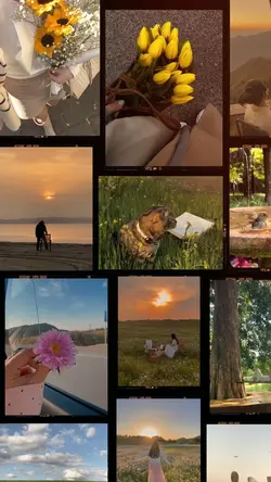 Collage 