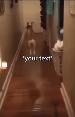 Prancing dog 
