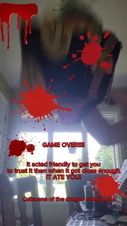 Video game
