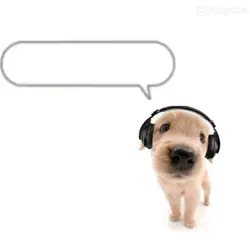 Doggo
