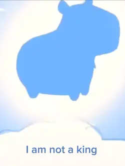 I AM NOT A GOD I AM-
