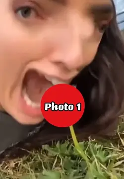 Dandelion meme