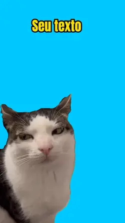 Meme gato