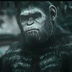 Planet of the apes 