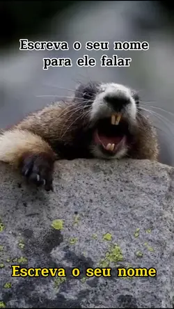 Marmota 