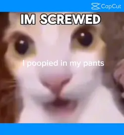 capcut