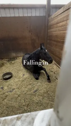 Falling in love