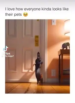 secret life of pets