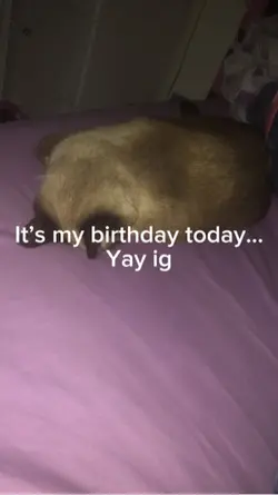 It’s my bday todayyy