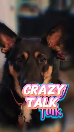 Crazy Talk