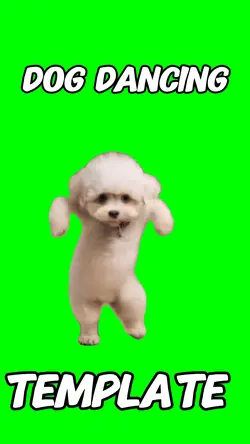 Dog Dancing Meme 