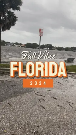 Florida fall vibes