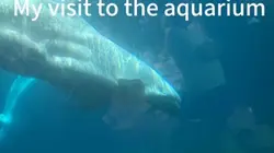 Aquarium, 2.0