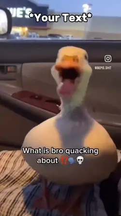 Sus Duck 