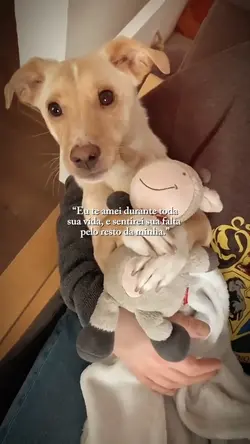 Eu te amei durante..