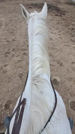bare back with Misty