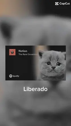 Notion