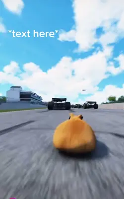 That’s a fast cat