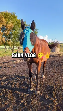 Barn vlog 