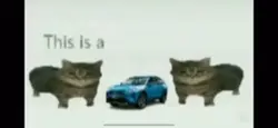 this is a toyota