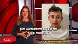 Con una vaca 