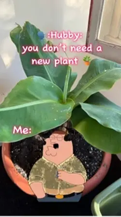 Adult Humor