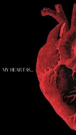 My Heart Is……