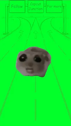 Cotton Eye Hamster 