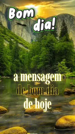 reflexão do dia 