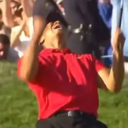 Tiger free edit